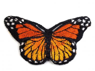 Aufbügler Schmetterling orange 