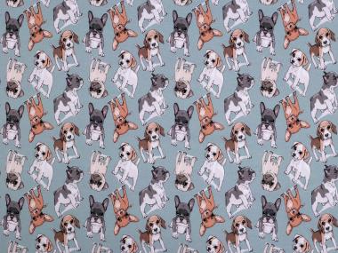 Jerseystoff Dogs hellblau 